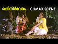 ഭരതൻ പത്മരാജൻ കൂട്ടുകെട്ടിലെ രതിനിർ�