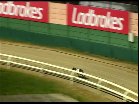 Saturday 4 February 2023 Trial 5 - Burrow Fantastic