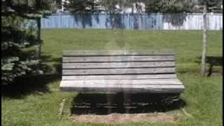 Jakob Dylan - Will It Grow (Unofficial Music Video)