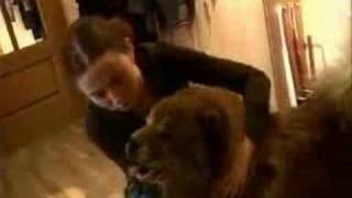 Tatu - Null and void