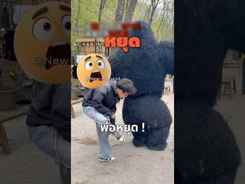 พ่อ อย่าแหย่กอริลล่าตัวนั้น