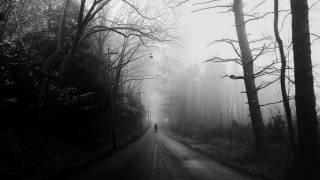 DroidX - A look into your heart (Wolfsheim Cover)