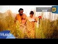 landuni-naha-waradak-w-d-ariyasinghe-09-09-2013