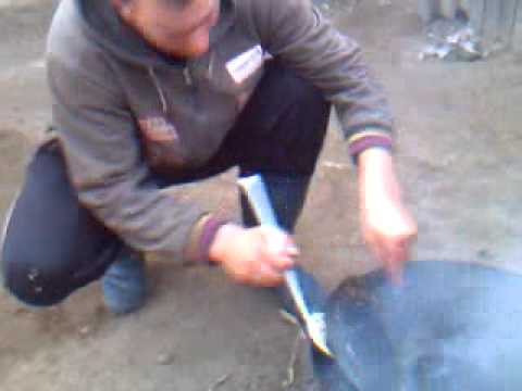 CARNA ,DOLJ ,LA GRATAR CU " NEBUNI"