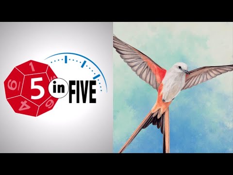 Wingspan  |  Review  |  with Mike