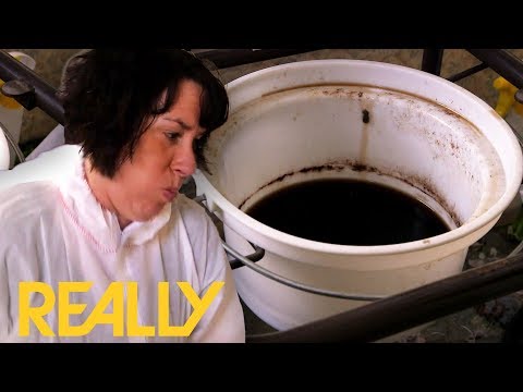 YouTube video about: Can you get sick from cleaning up human feces?