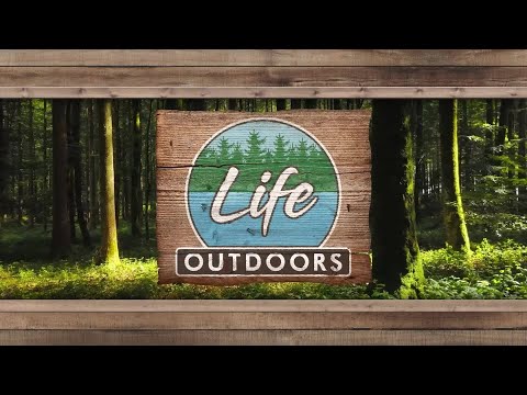 Dog Agility | Life Outdoors - YouTube