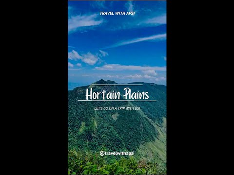 A Day in Hortain Plains  | Nelu Mal🌾🌤️🌿#beautifulsrilanka #travel #nature #neluflowers #travelvlog