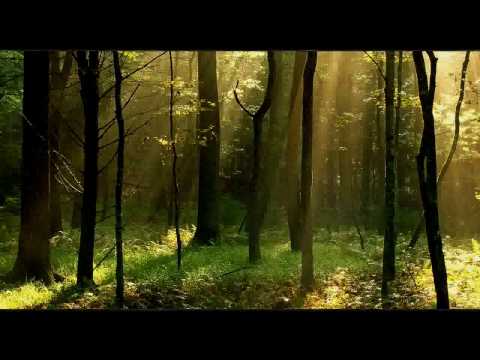 First State feat Sarah Howells - Brave (Original Mix).avi