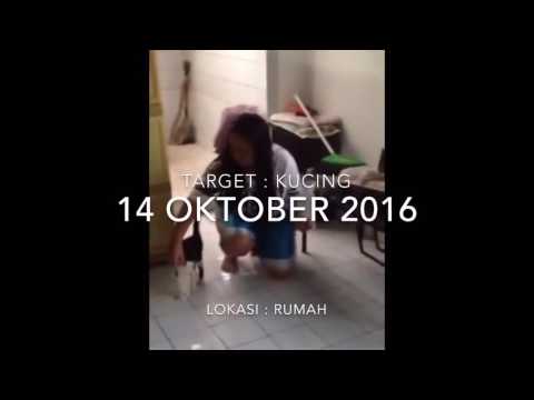 Clasical Conditioning Pada Kucing