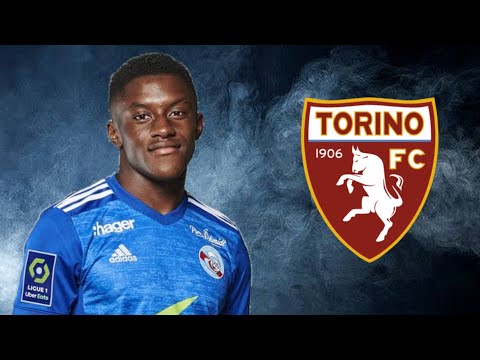 Jean-Ricner Bellegarde ● Skills ● Goals ● Assists ● Torino