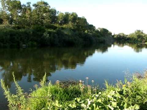 River Medveditsa near Walter, Russia - July 16, 2010