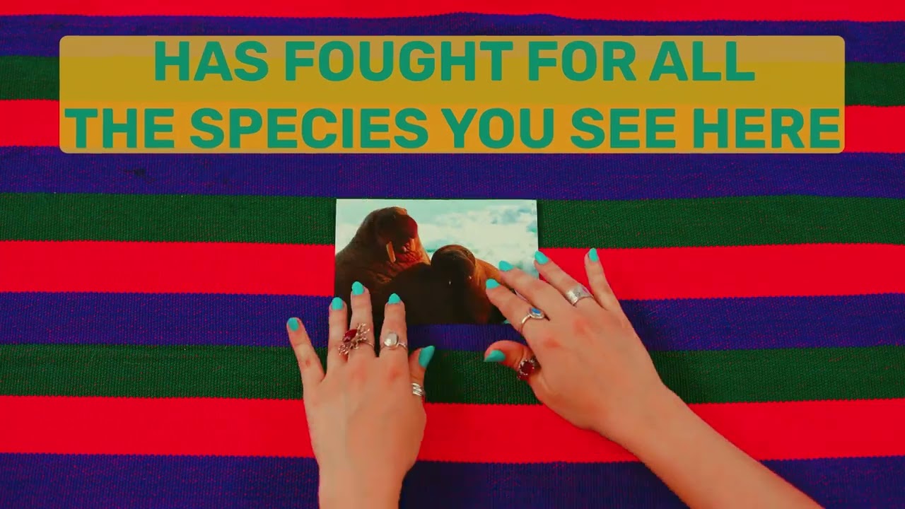 Give to the Org that's Fighting for Endangered Species Everyday