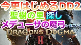 PC 「#07」 聖樹の里＆メデューサの魔弓探し‼ 今更始める‼(ダークアリズン同梱版)『ドラゴンズドグマ2 』