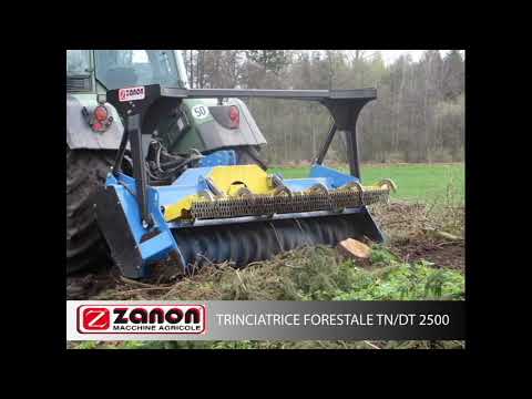 Forestam Mulcher TF DT 2500 at work ZANON