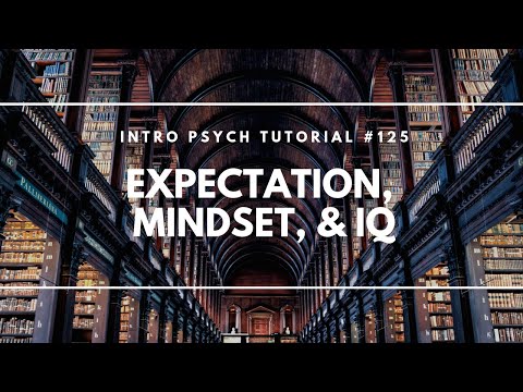 What is Intelligence Intro Psych Tutorial 112