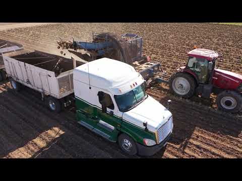 Sugar Beets The Dahm Team Real Estate Company