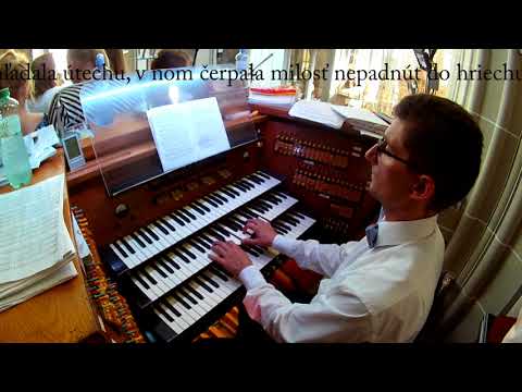 Hymnus k Anne Kolesárovej (ďakovná omša za Annu Kolesárovú)