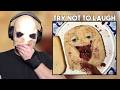 Try Not To Laugh 72