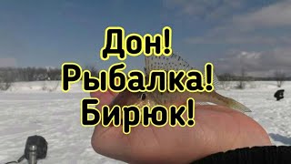 Снасть для ловли бирюка на дону