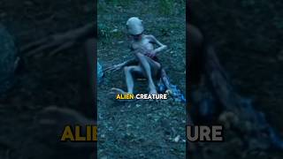 What Is The Alien Creature In Peacemaker Season 2? #peacemaker #jamesgunn #dcu