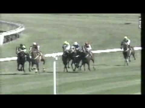 1991 All Aged Stakes - Shaftesbury Avenue