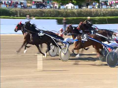 Trotto 30/04/2017 - 6ª corsa