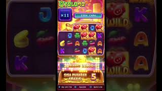 Lucky Piggy — Big Wins