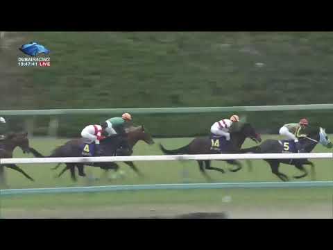 2019.04.14 Satsuki Sho (Japanese 2000 Guineas) - Saturnalia