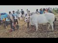 Karur Vellaiyan ️