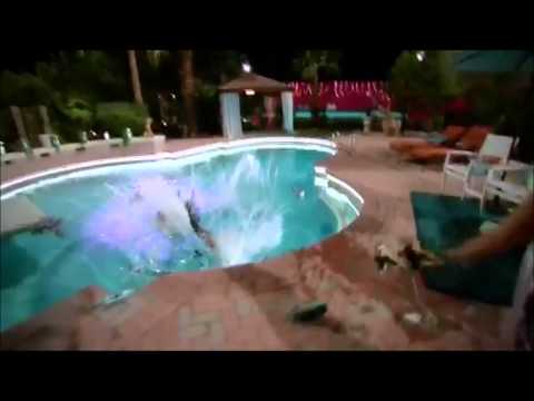 Bad Girls Club Season 8 - Elease vs Erica, Dani, Gabi, Amy, Gia & Mimi