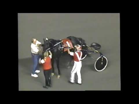 2001 Meadowlands CIVIL ACTION Mike Lachance Peter Haughton Memorial Elimination