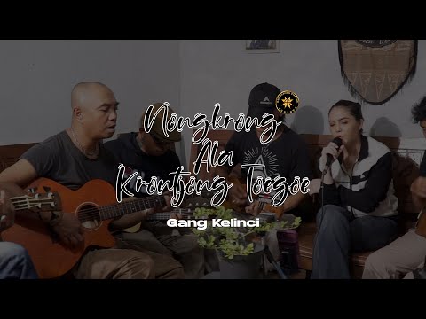 Gang Kelinci (Cover) | Nongkrong Ala Krontjong Toegoe