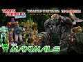 TRANSFORMERS: THE BASICS on the MAXIMALS