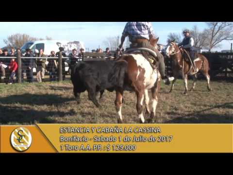 01-07-17 Ventas de Toros P.P. - Estancia y Cabaña La Cassina - Bonifacio.