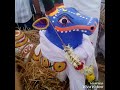 Vella Kuthirai