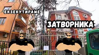 TreeWork видео