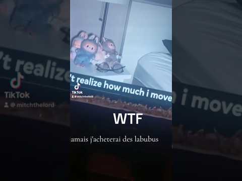 Labubu dolls caught moving!!! #haunted #labubu #paranormal #labubudolls