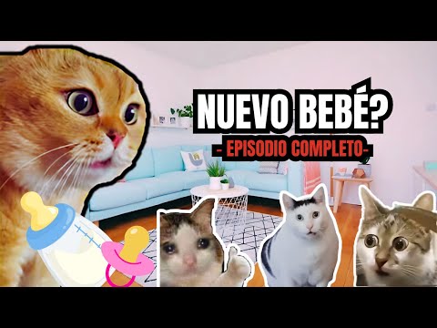 NUEVO BEBÉ?, episodio completo (meme de gatos)