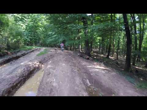 Draut-Araneag-Casoaia-Feredeu - 01