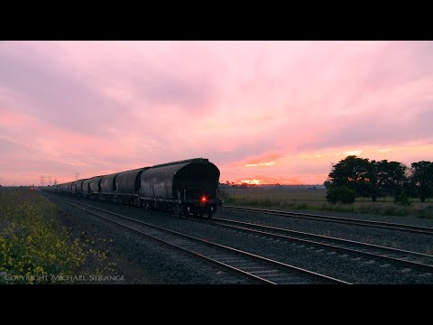 7737V Pacific National Grain Train At Sunset - PoathTV Australian Railways