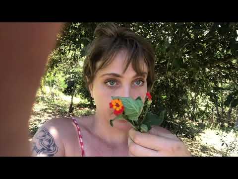 Rainforest Therapies for Healthy Communities