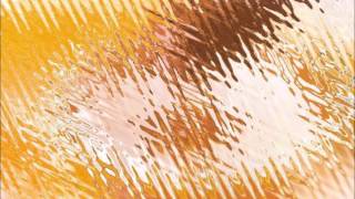 Hilary Hahn and Hauschka - Halo of Honey