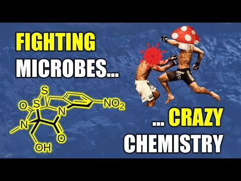 Exotic Sources of Cancer Medicines: Total Synthesis of Glionitrin Natural Products (Organic Chem)