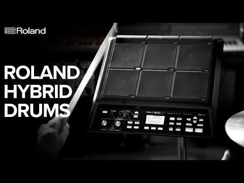 Roland SPD-SX Velocity-Sensitive Sampling Pad with 16GB Internal Memory and LED Indicators (Black)