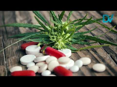 Studio Usa rivela: dove la cannabis è legale crollano le morti per overdose