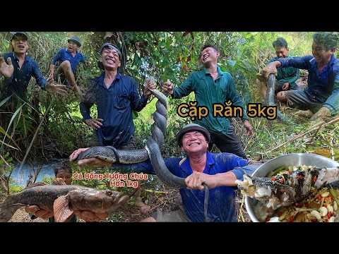 Khu Này Có Mồi Hiếm - Cặp Rắn Ẩn nấp Trong Hang Sâu | Gấc Quê