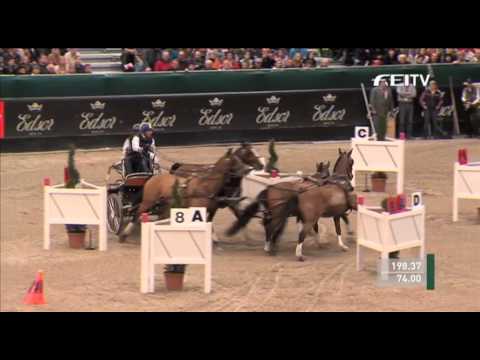 FEI World Cup Driving 2012-13 Leipzig, Tomas Eriksson 3rd place