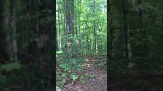 Dolly Parton’s Original Home