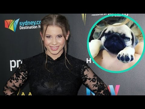 Meet Bindi Irwin's Adorable New Puppy